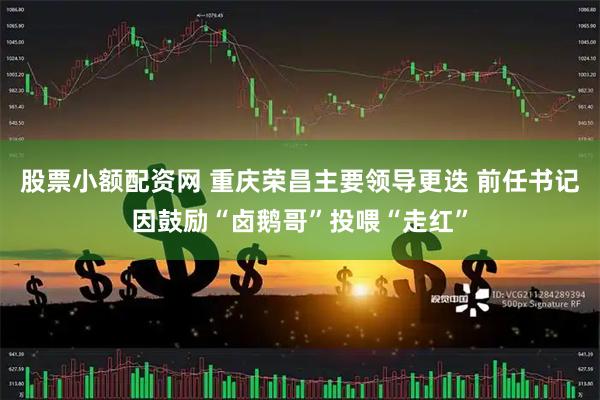 股票小额配资网 重庆荣昌主要领导更迭 前任书记因鼓励“卤鹅哥”投喂“走红”