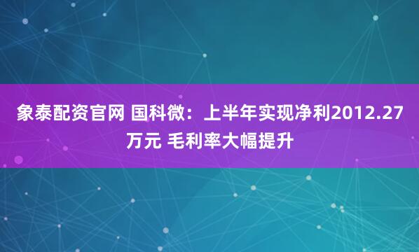 象泰配资官网 国科微：上半年实现净利2012.27万元 毛利率大幅提升